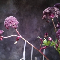 Décoration à Sainte Maxime